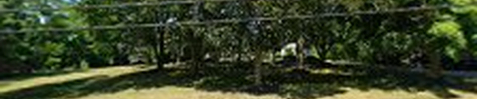 Royalty Landscaping & Hardscaping