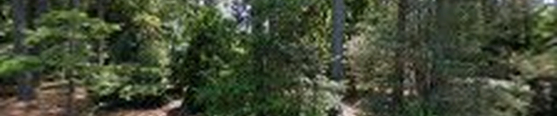 Specscape Landscaping