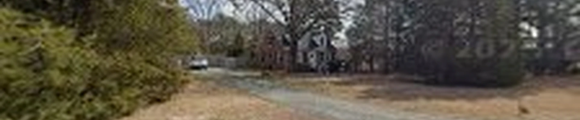 Blue Line Landscaping LLC