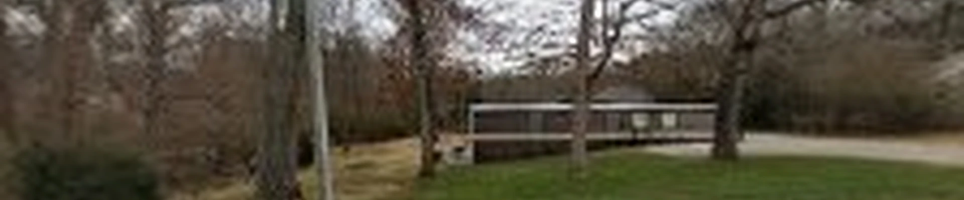 Cruz's Landscaping Inc