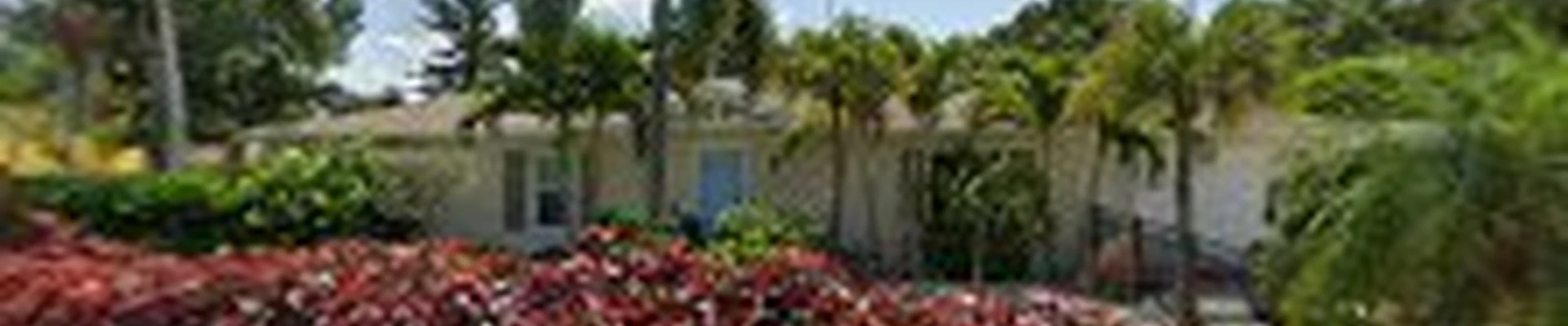 FLORIDA LAWN GUYS