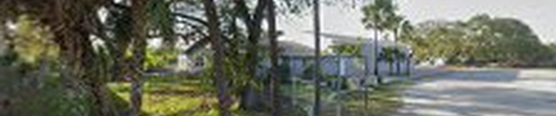 Tropical Gardens Landscape