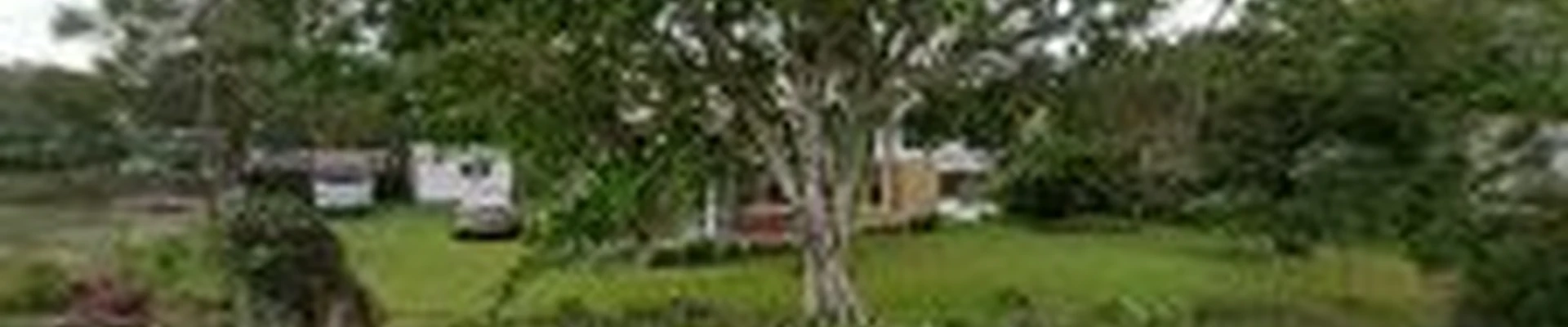 Best Buds and Blossoms landscaping inc