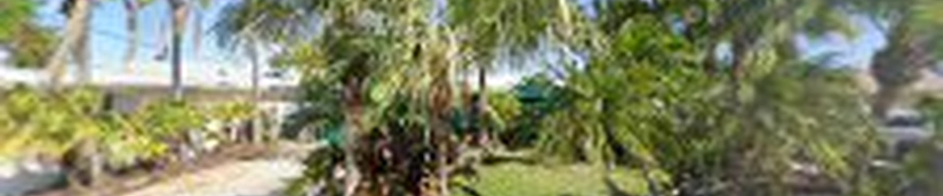Gulfcoast Land Designs