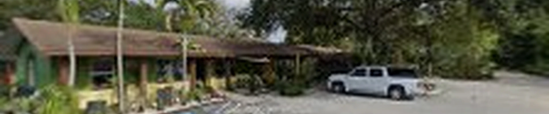 Island Bamboo
