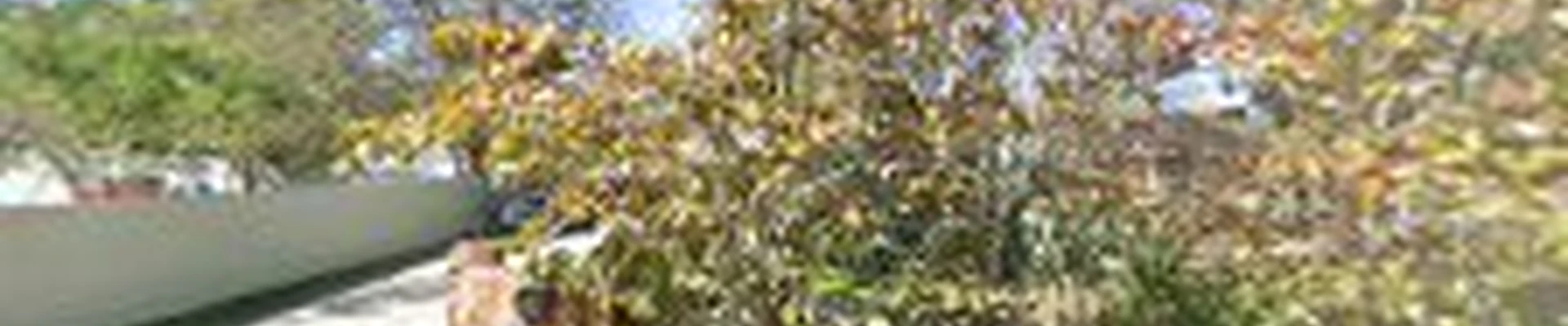 Evergreengrape L.L.C.