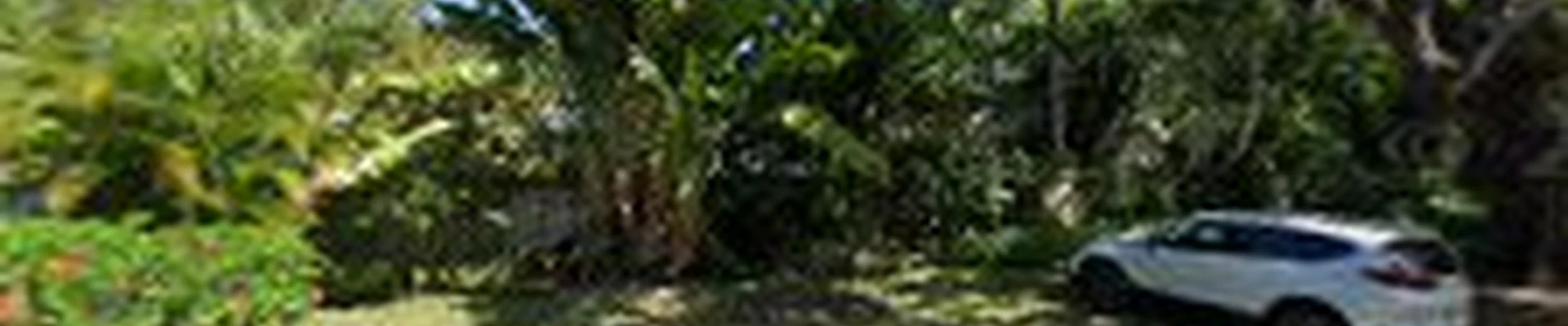 Treeology, Inc.