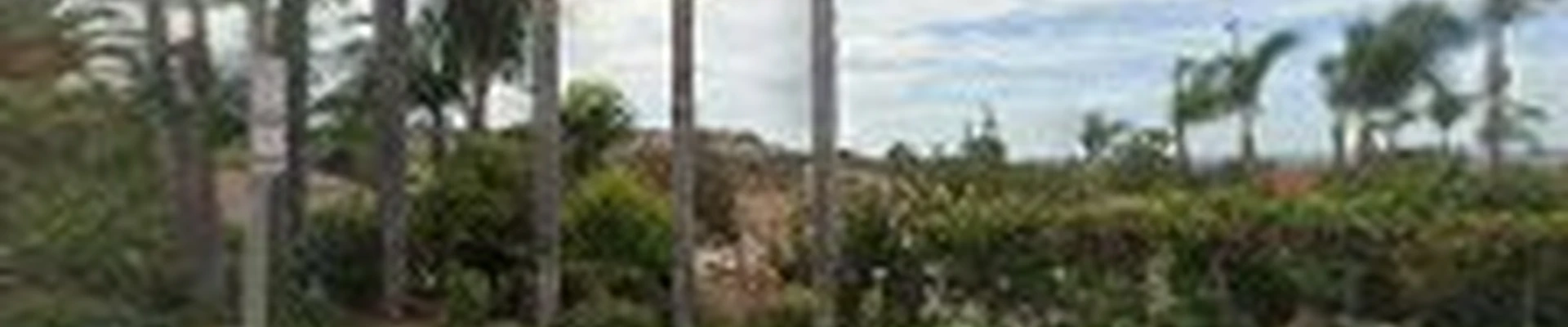 Cris Castro Landscape Maintenance