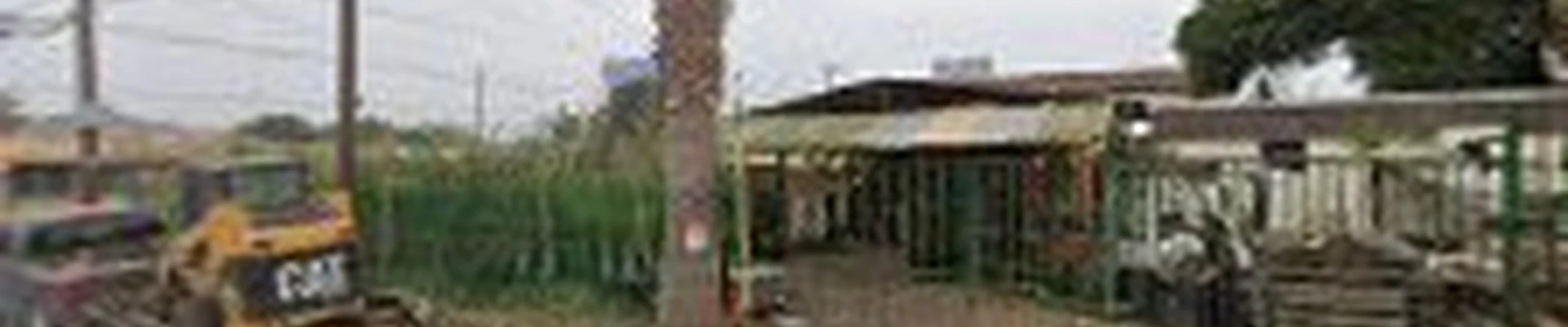 Roy's Palms Landscaping & Irrigation