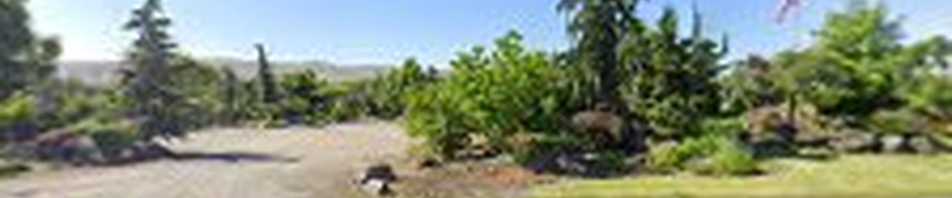 Yellow Rose Landscaping Inc