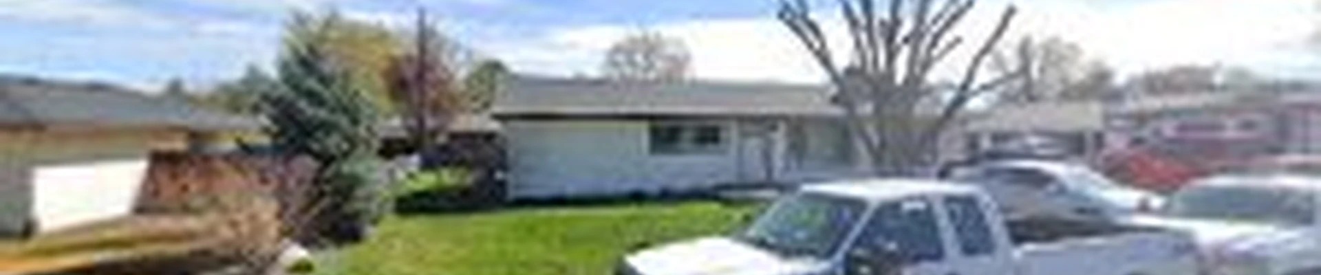Lion Landscaping & Maintenance LLC