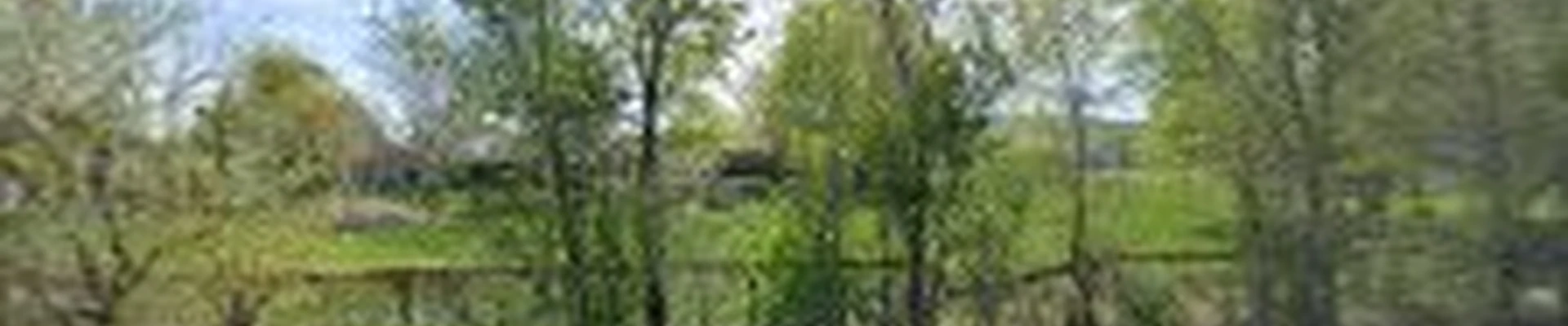 Tri-City Landscaping & Maintenance, LLC