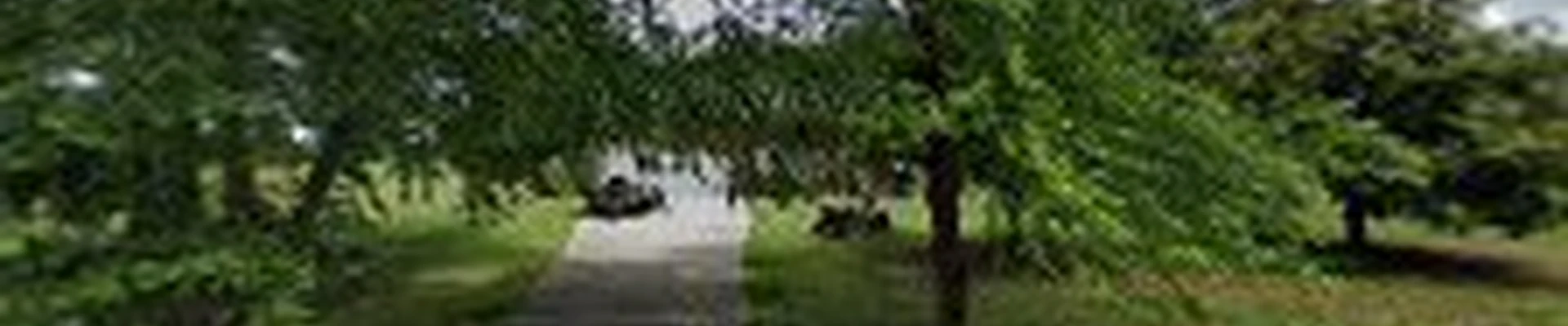 TurfMunchers Lawn Care Services