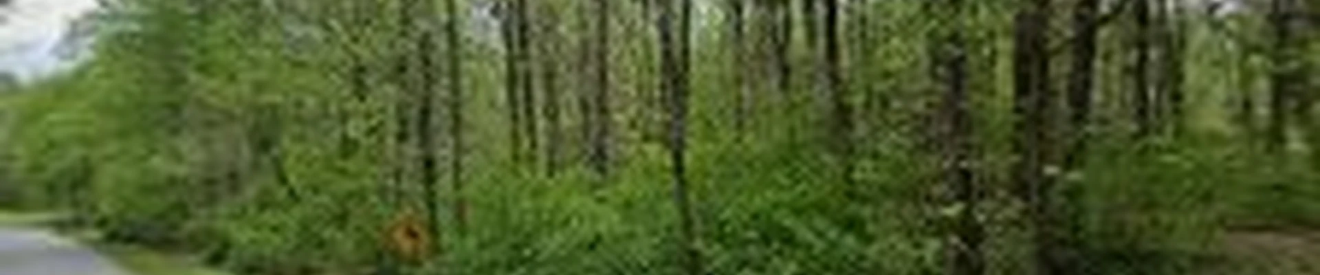 CVK Landscape & Property Pro
