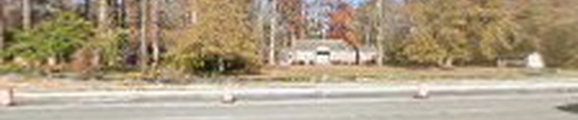 B D Landscaping and Home Repairs, LLC
