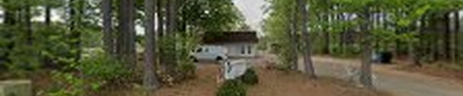 The Vine Landscaping