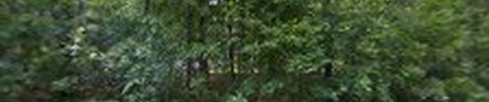 LawnStarter - Virginia Beach Landscaping