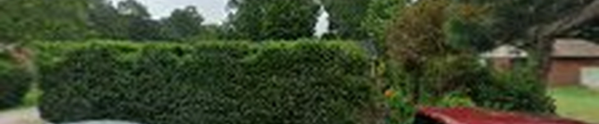 Vazquez Landscaping