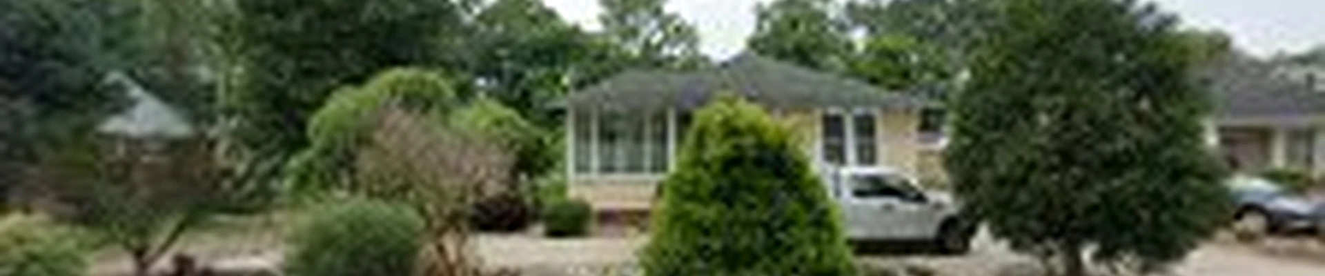Renew Property Wash