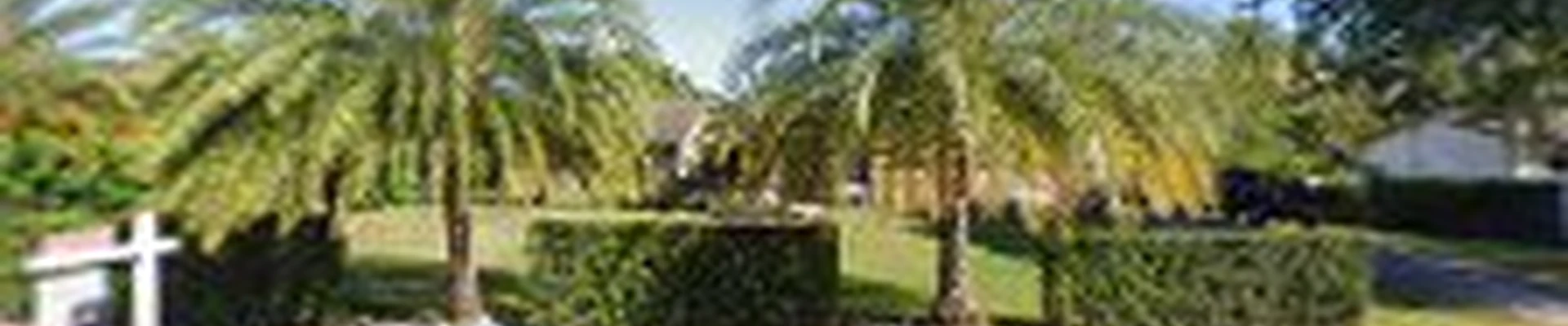 Marshall's Tree Service & Landscaping