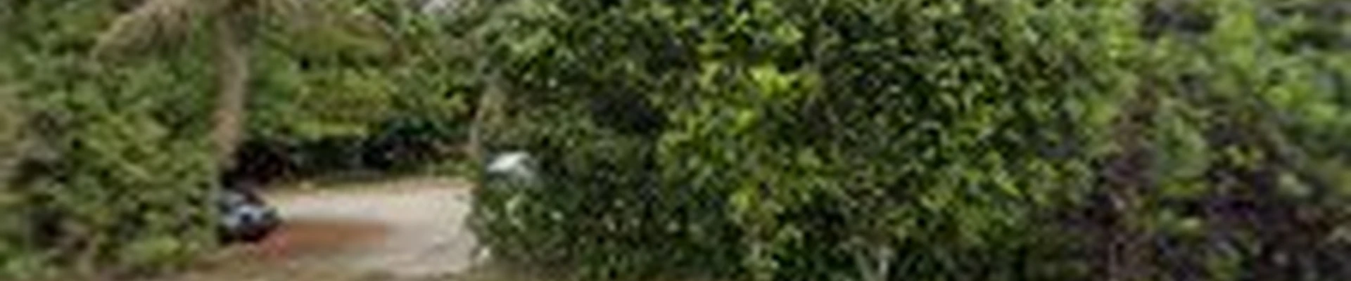 Casey's Lawn Services & Landscaping