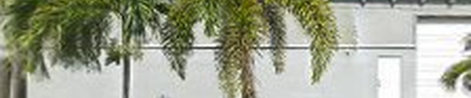 Exclusive Custom Fence and Repairs