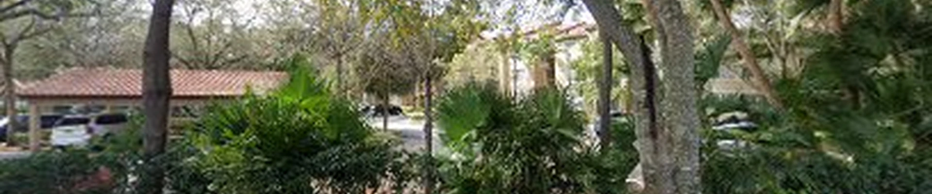 Landscaping Weston
