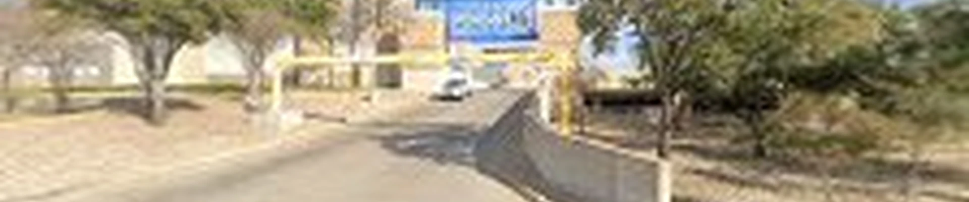 Walmart Garden Center