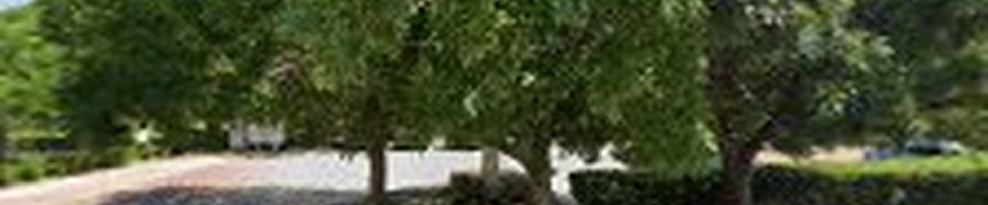 Southern Painting Southlake