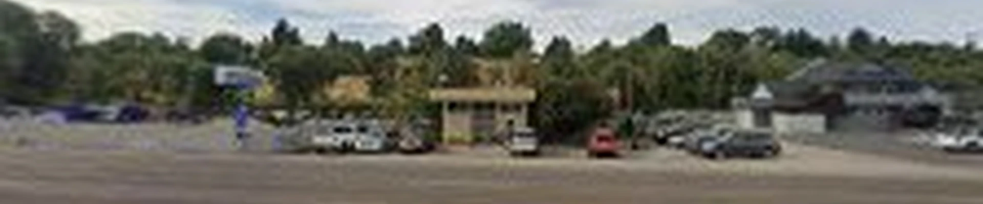 Pro Care Landscape Services