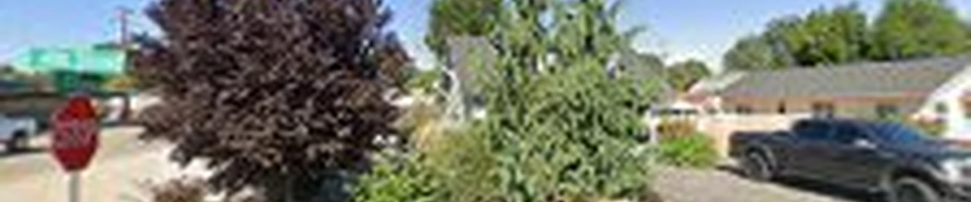 Ruiz landscape llc