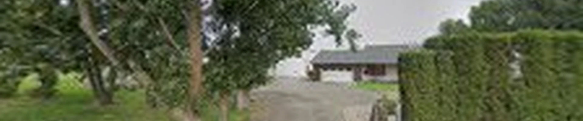 Palmer Landscape Design