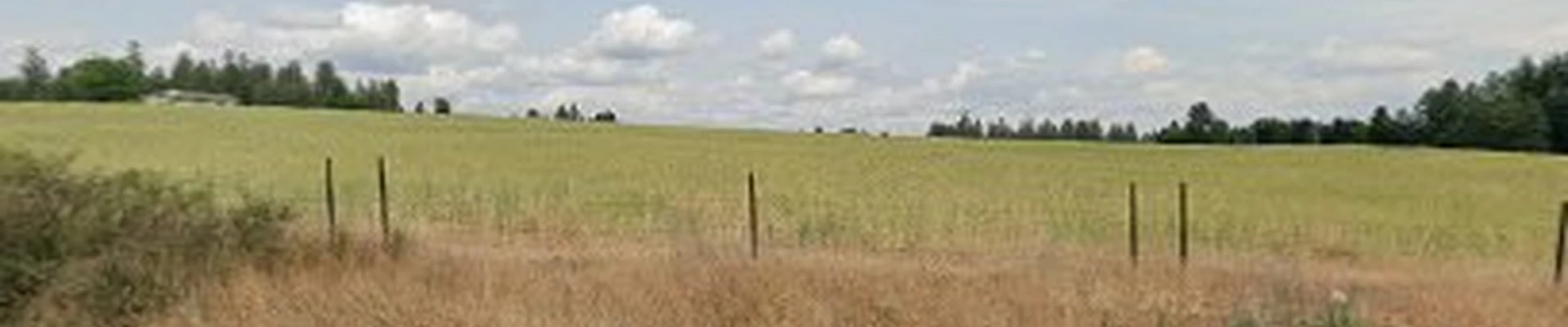 Natural Impressions Landscaping