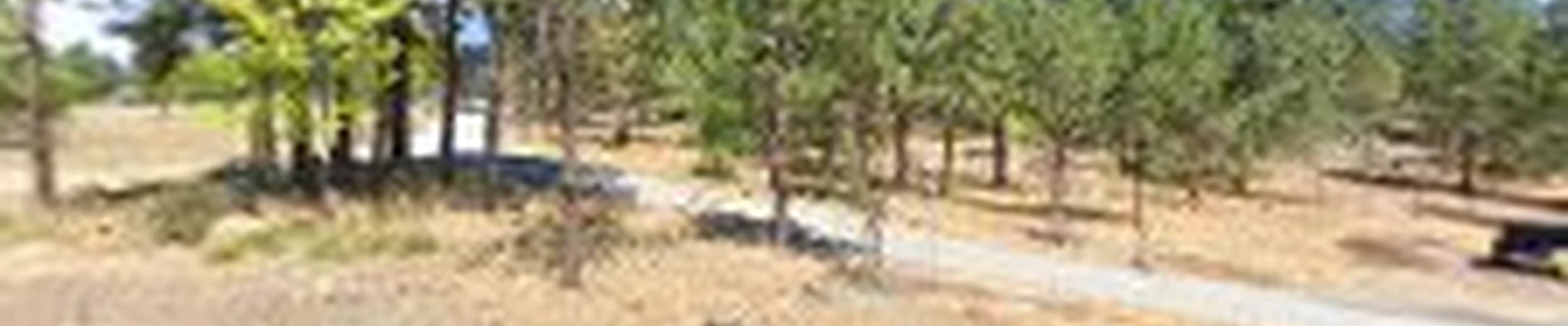Diamond Landscape Services