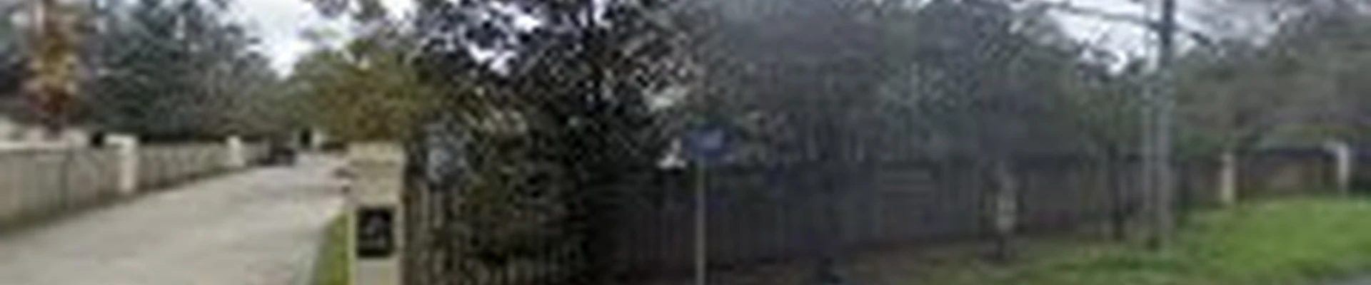 Mixon Landscape Solutions, LLC