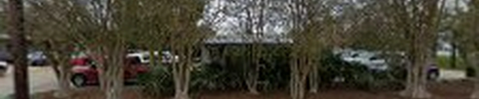 Newton Landscape Group