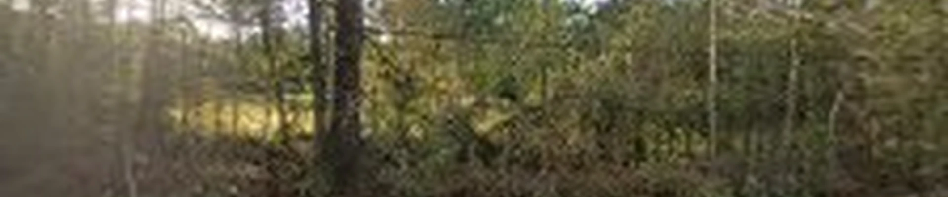 J&B Lawn & Landscaping