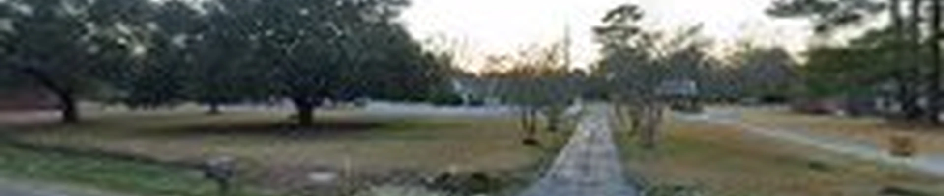 All In Lawn Maintenance