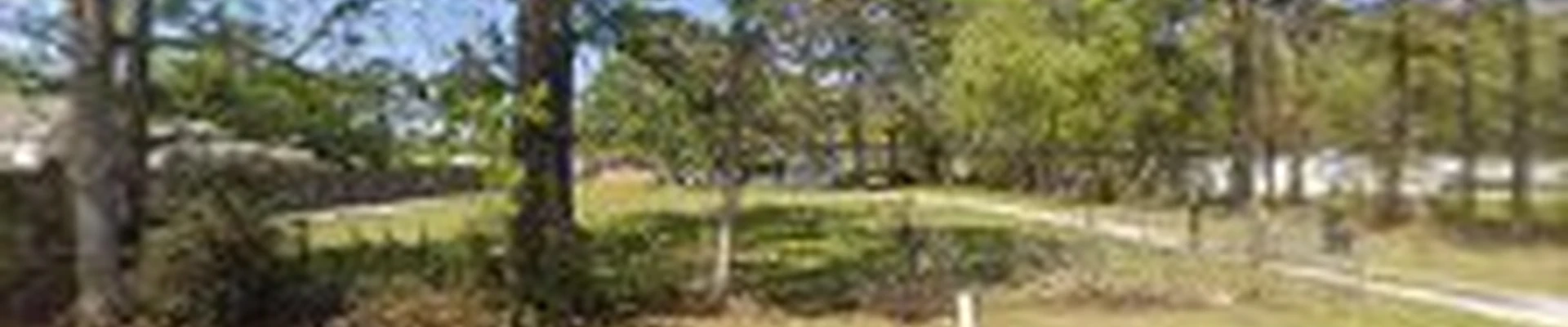 Mowmentum Lawn Care llc