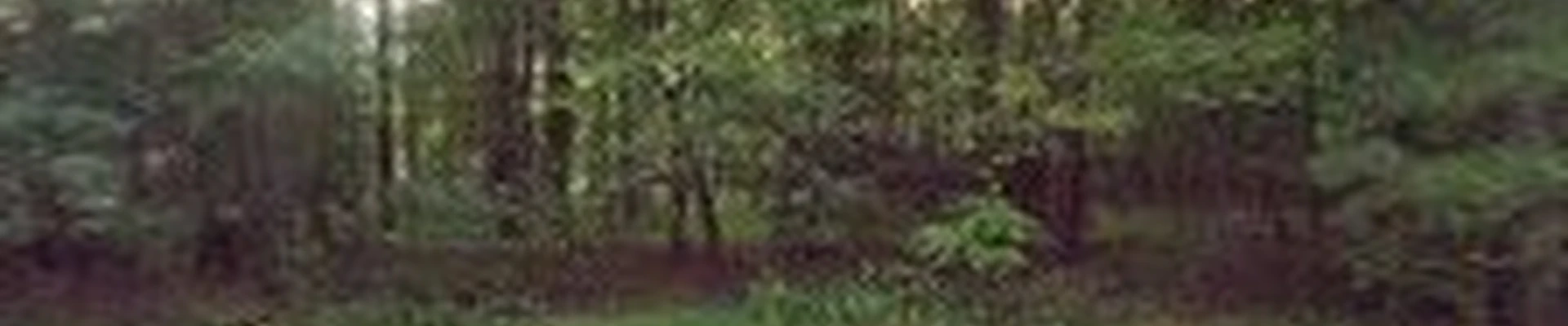 Leveled Edge Landscaping - Chesterfield