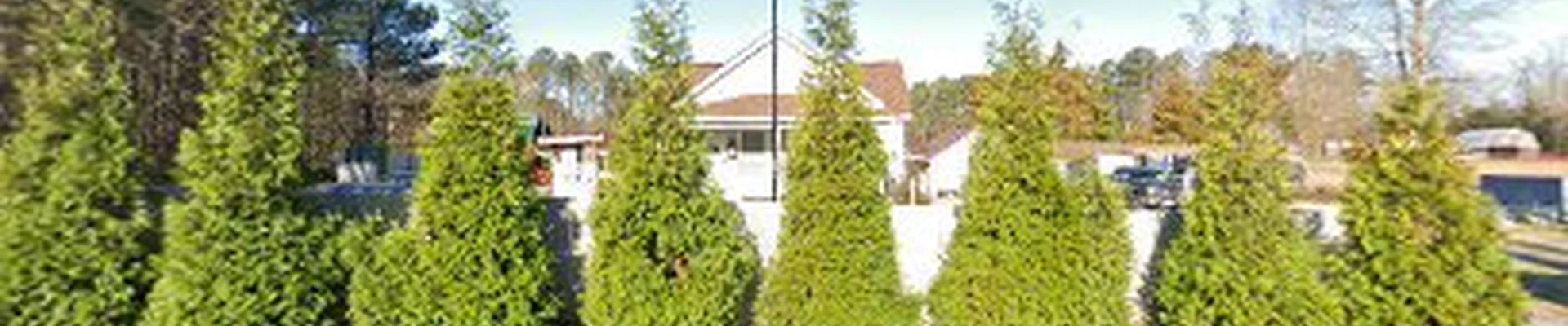 Hidalgo Hardscape & Lawn