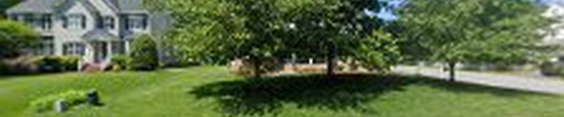 Premier Landscaping and Lighting