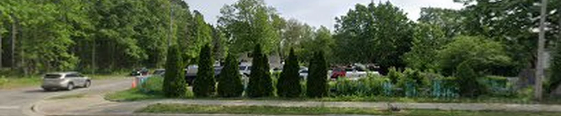 Corey and Son landscaping and power washing