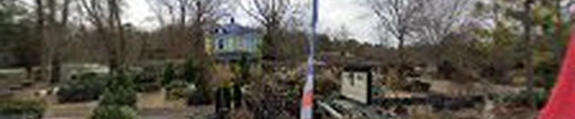 River Birch Nursery and Landscaping