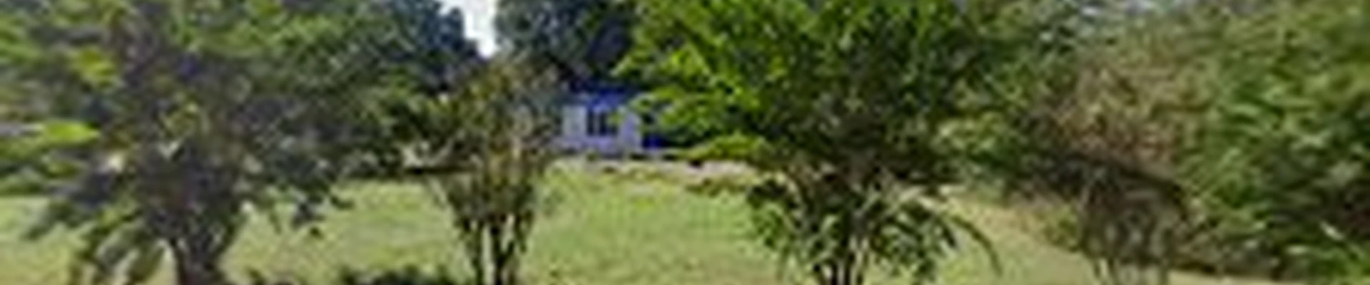 Greenview Landscaping & CO.