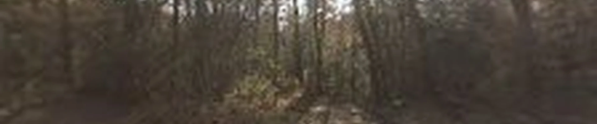 Capece Land Solutions LLC