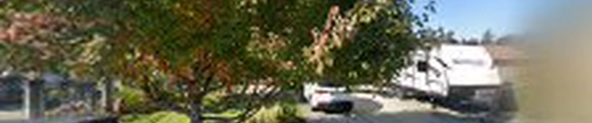 Binh Le's Landscaping & Construction Puyallup
