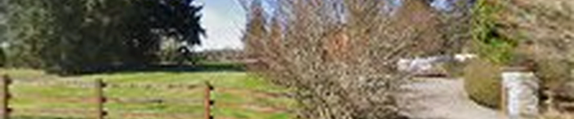 Evergreen Valley Landscape