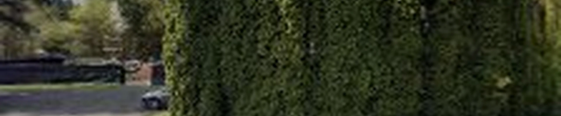 Lawn Boys Landscape