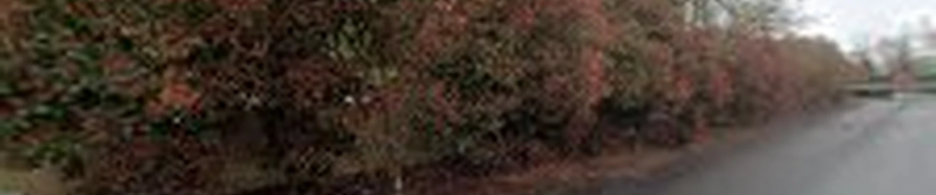 Tacoma Landscaping Co